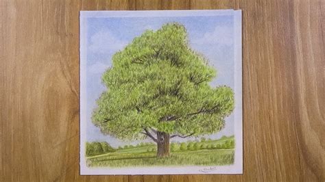 Image result for Colorful Tree Drawing