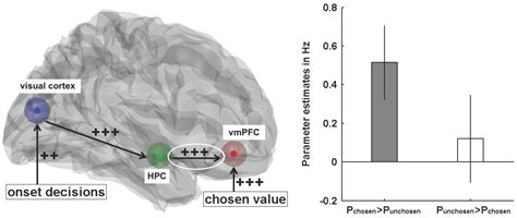The Interplay of Hippocampus and Ventromedial Prefrontal Cortex in ...
