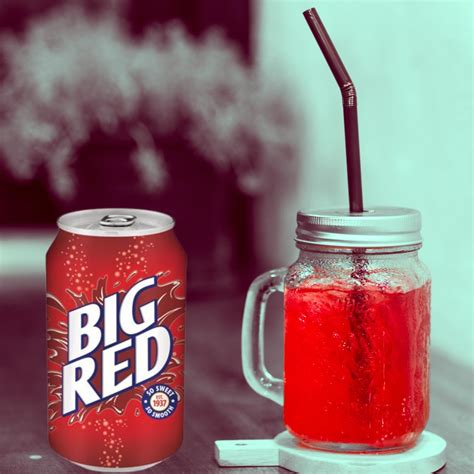 Louisiana Pantry – Bebida de soda Big Red and Big Red Zero Cream Soda ...