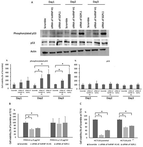 Heterogenous Nuclear Ribonucleoprotein H1 Promotes Colorectal Cancer ...