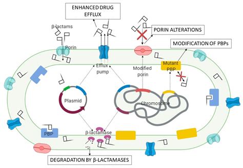 Emerging Strategies to Combat β-Lactamase Producing ESKAPE Pathogens