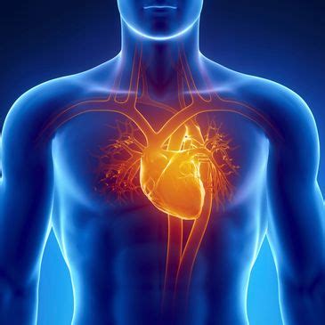 PRODUCT PORTFOLIO | KEGARS IMPEALIO