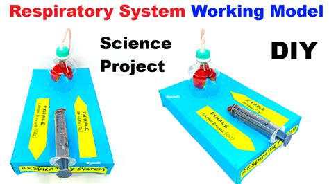 Science Projects Models 的图像结果