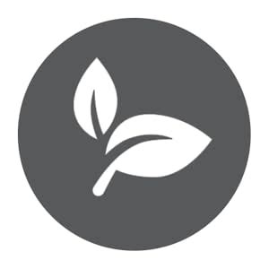 Just Jaivik Organic Triphala Churna Powder for Gastro Intestinal Health ...