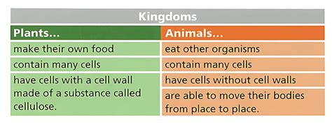 Classification Chapter Notes - IGCSE Cambridge Science for Year 6 ...