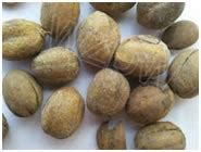 Suresh Trading :: Products