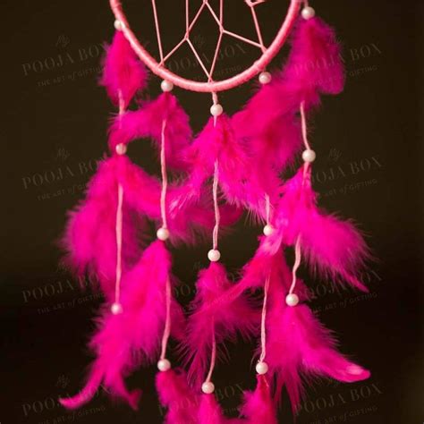 Buy Handmade Pink Feathers Dreamcatcher Online in India - Mypoojabox.in