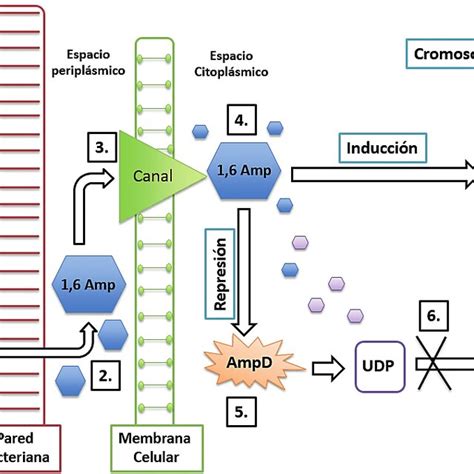 How to Interpret Forest Plot 的图像结果