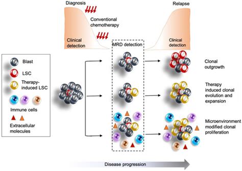 Cancers | Special Issue : Acute Myeloid Leukemia: The Future Is Bright