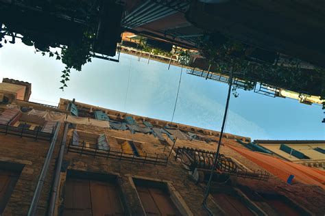 Image result for Same Picture Different Perspective