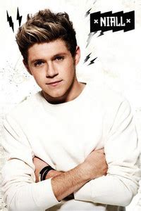 One Direction - Niall Poster ON GOOD QUALITY HD QUALITY WALLPAPER ...