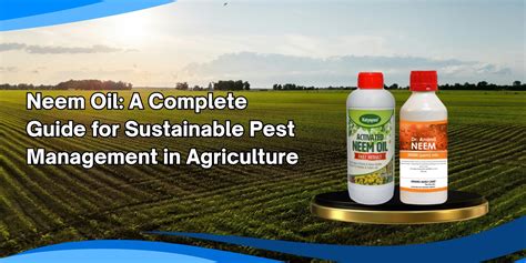Neem Oil: A Complete Guide for Sustainable Pest Management in Agricult ...