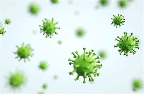 Image result for Virus Examples