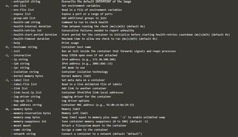 Docker Run Command 的图像结果