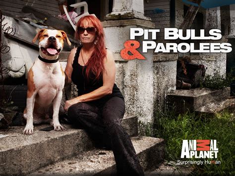 Watch Pit Bulls and Parolees Season 5 | Prime Video