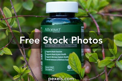 Immune System Function 的图像结果