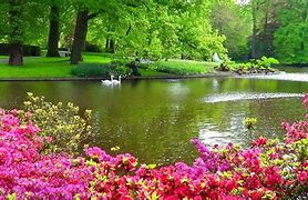 Image result for Most Beautiful Flower Gardens