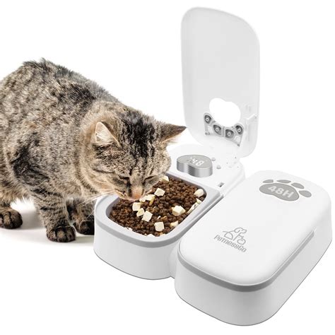 Best Microchip And Automatic Feeders For Multiple Cats - [2026]