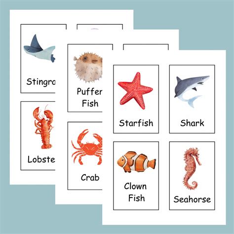 Terrifying Sea Creatures Flash Cards 的图像结果