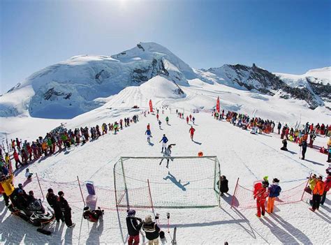 Winter Sports Skateboard 的图像结果