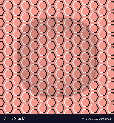 Image result for Vector Poligon