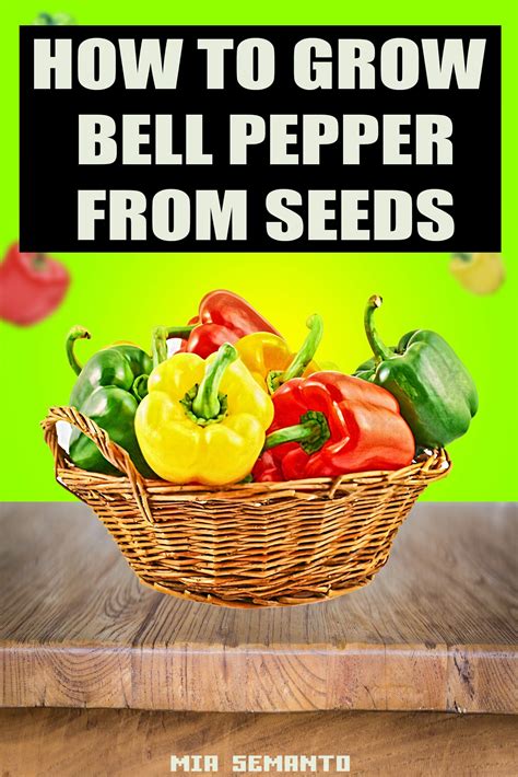Growing Bell Peppers From Seeds Indoors at Anna Beyers blog