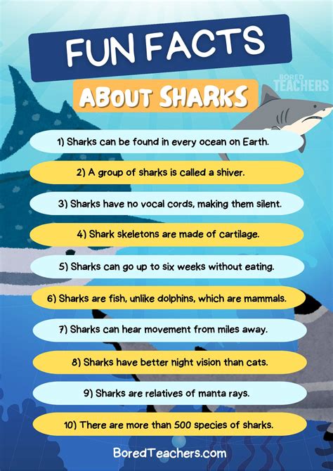 50 Fun Facts About Sharks Your Students Will Love