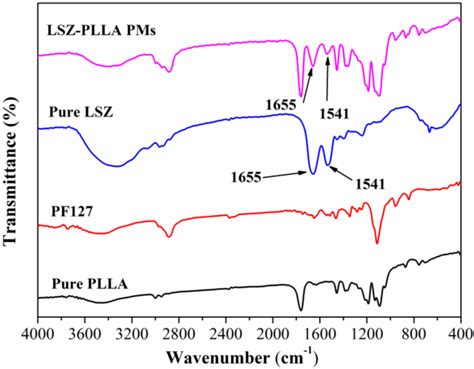 Study of Lysozyme-Loaded Poly-L-Lactide (PLLA) Porous Microparticles in ...