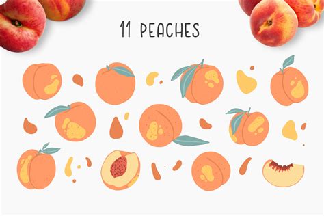 Lemons and peaches illustrations By Crafting Space | TheHungryJPEG