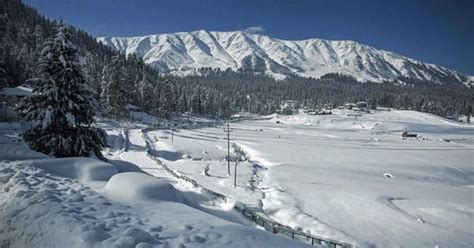 Baramulla avalanche: Swedish skier dies in Gulmarg resort, another ...