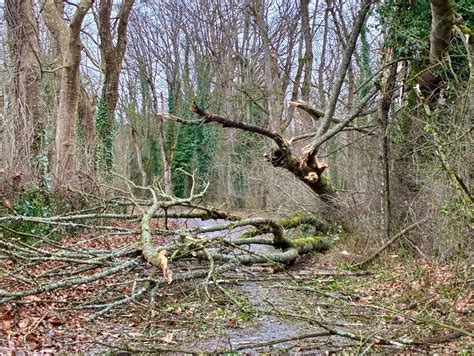 « Vous êtes en train de lui faire la morale ? » : le père de famille échangeait des « nudes ...