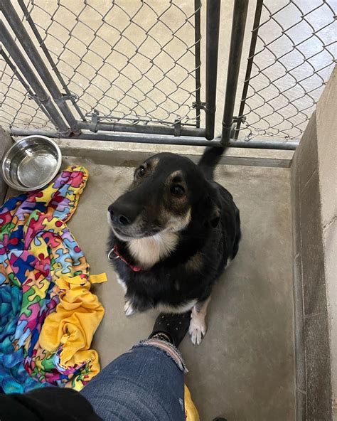 First State Animal Center (@fsac.spca) • Instagram photos and videos