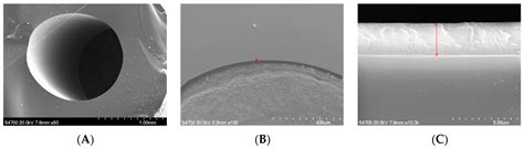 Preparation and Photodegradation of TiO2 Thin Films on the Inner Wall ...