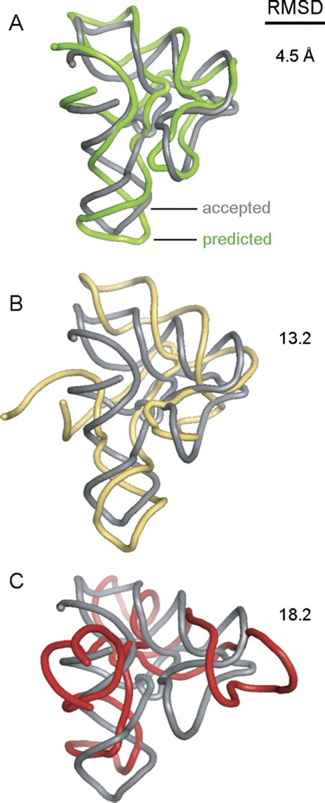 Image result for RNA Structure and Function