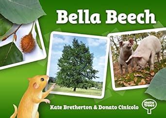 Buy Bella Beach (Hello Trees) Book Online at Low Prices in India ...