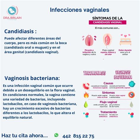 Las infecciones vaginales: - Dra Birlain