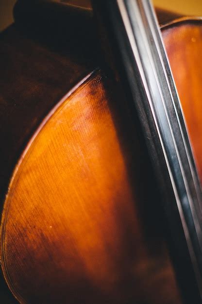 Image result for String Instruments Cello