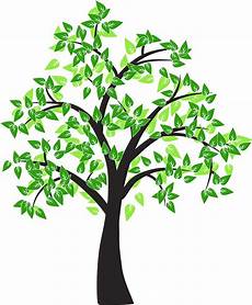 Clipart Transparent Background Png Tree by Tree Drawing Cottonwood Leaf Tree Vector Png Clipart Transparent Background Png Tree