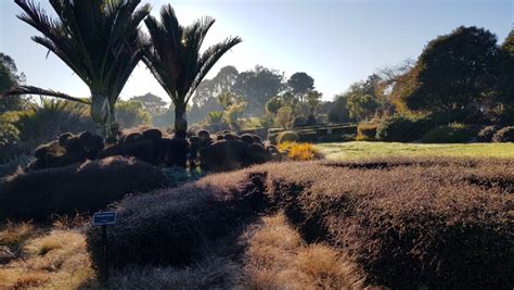 New Zealand Gardens Trust | Activities & Day Trips in Auckland, New Zealand