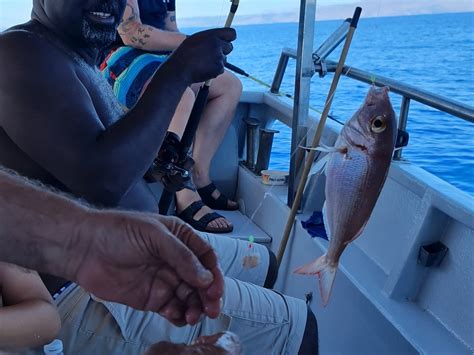 CHANIA FISHING TRIPS (2026) All You Need to Know BEFORE You Go (with ...