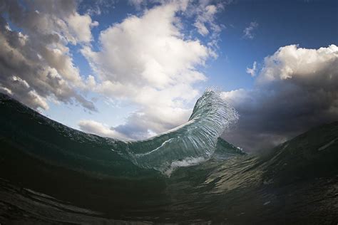 Image result for Python Wobble