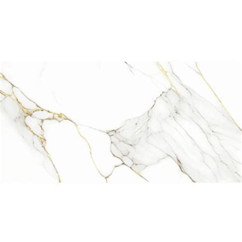 Ice Gold White 60x120 - Alvos Beograd