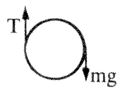 Rotation Inertia 的图像结果