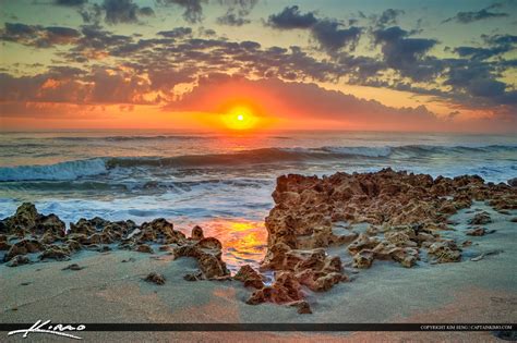 Spring Beach Vacation 的图像结果