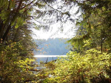 Anacortes Community Forest Lands - Whistle Lake — Washington Trails ...