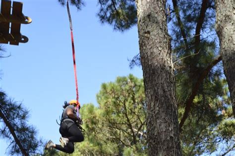 The Raptor Aerial Adventures - Decatur | Tripadvisor