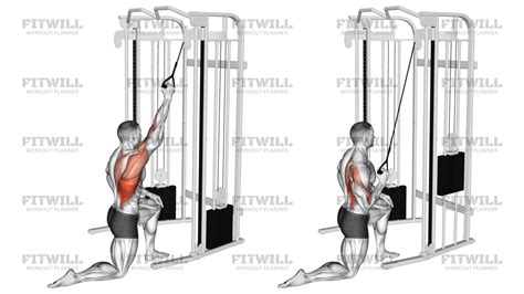 Cable Kneeling One Arm Lat Pulldown: Exercise Guide, Video, Techniques ...