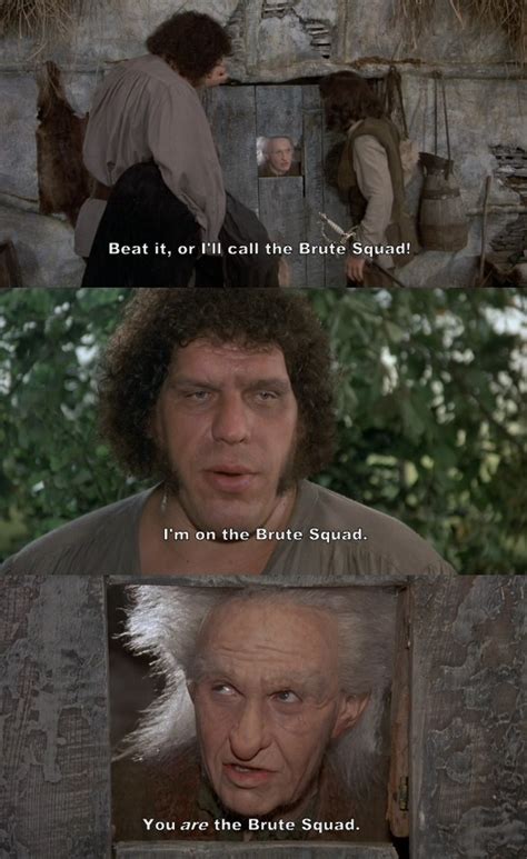 Image result for Princess Bride Funny