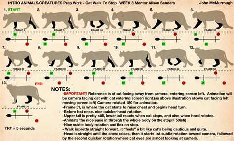 Tiger Walk Cycle Tutorial 的图像结果