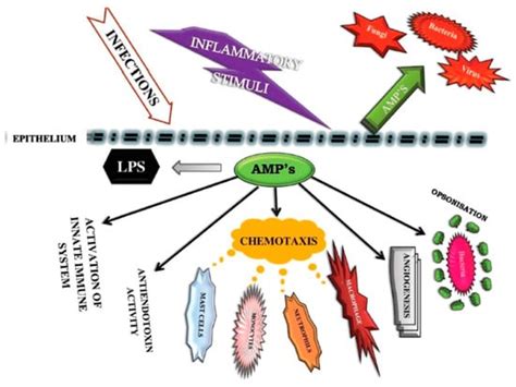 Evidence Regarding Vitamin D and Risk of COVID-19 and Its Severity